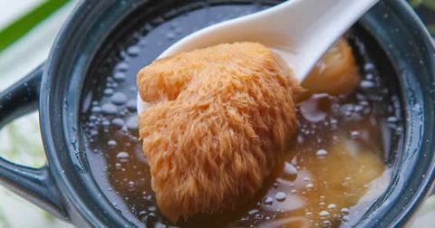 全素猴頭菇養生湯